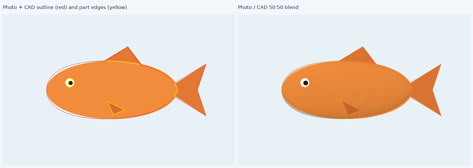 The fish CAD drawn over the input image in its pixel frame